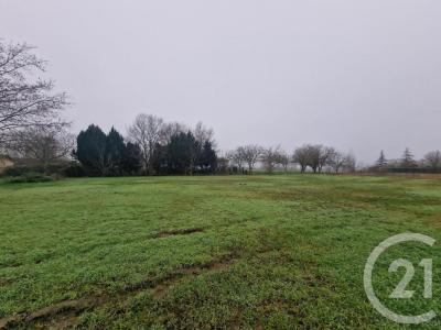 For sale Gaillan-en-medoc 1035 m2 Gironde (33340) photo 3