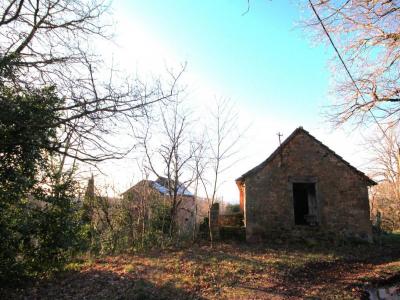 Annonce Vente 3 pices Maison Najac 12