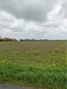 For sale Saint-jean-de-liversay 375 m2 Charente maritime (17170) photo 0