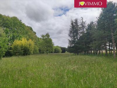 Annonce Vente Terrain Mignaloux-beauvoir 86