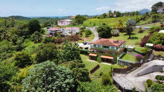 Acheter Terrain Francois Martinique