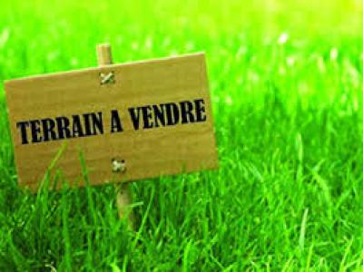 Annonce Vente Terrain Teich 33