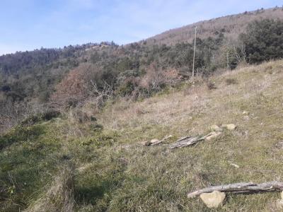 Acheter Terrain 845 m2 Sougraigne