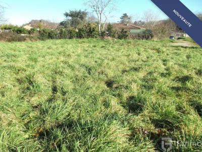 For sale Bayon-sur-gironde 542 m2 Gironde (33710) photo 2