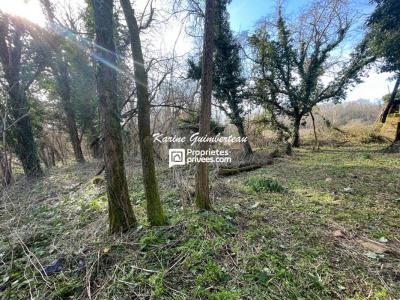 For sale Puisseguin 7000 m2 Gironde (33570) photo 3