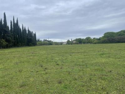 Acheter Terrain Pertuis 177900 euros