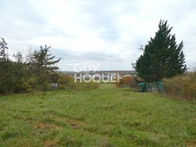 For sale Moneteau 4129 m2 Yonne (89470) photo 1