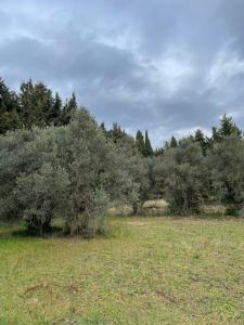 Acheter Maison Maussane-les-alpilles Bouches du Rhone