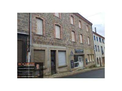 For sale Sail-sous-couzan 7 rooms 454 m2 Loire (42890) photo 0