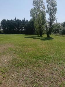 For sale Loire-les-marais 1100 m2 Charente maritime (17870) photo 0