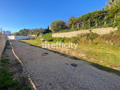 For sale Plan-de-cuques 470 m2 Bouches du Rhone (13380) photo 4