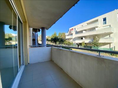 Annonce Location 2 pices Appartement Montpellier 34