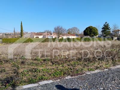 Annonce Vente Maison Senouillac 81