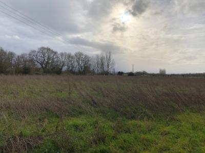 Annonce Vente Terrain Tonnay-charente 17