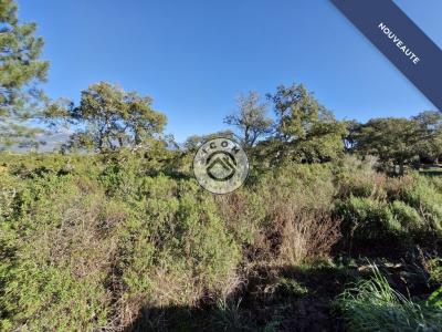 For sale Figari 587 m2 Corse (20114) photo 3