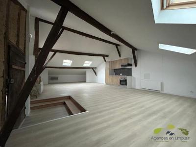 Annonce Vente Immeuble Saint-leonard-de-noblat 87