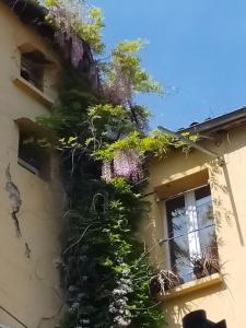 For sale Lodeve 12 rooms 399 m2 Herault (34700) photo 0