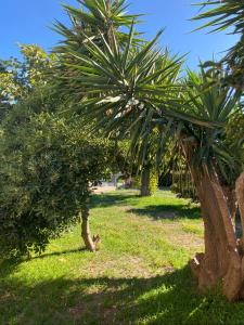 For sale Lespignan 4 rooms 98 m2 Herault (34710) photo 2