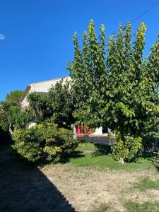 For sale Lespignan 4 rooms 98 m2 Herault (34710) photo 3