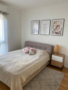 Louer Appartement Montpellier Herault