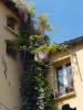 For sale Apartment building Lodeve  399 m2 12 pieces