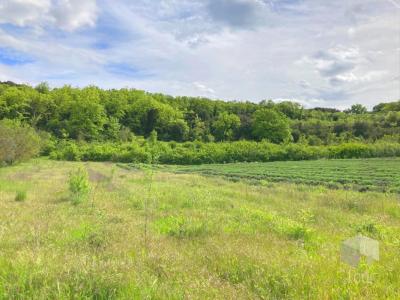 Acheter Terrain Larnas Ardeche