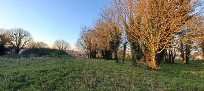 For sale Fontenay-le-comte 4812 m2 Vendee (85200) photo 3