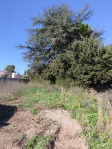 For sale Cournonterral 396 m2 Herault (34660) photo 0