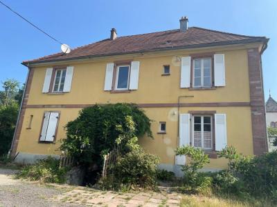 Annonce Location 4 pices Appartement Steige 67