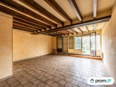 Annonce Vente 5 pices Maison Nevoy 45