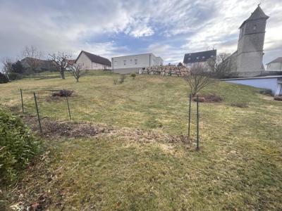 For sale Faverois 1041 m2 Belfort (90100) photo 0