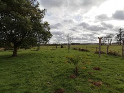 Acheter Maison Evriguet Morbihan