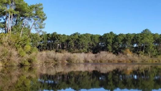 For sale Castets 5 rooms 105 m2 Landes (40260) photo 4