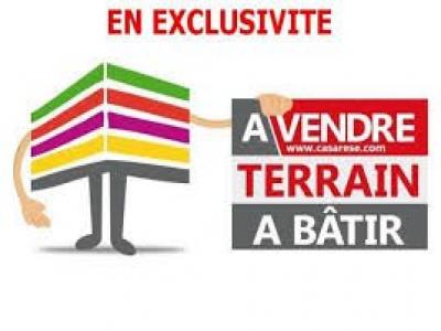 Annonce Vente Terrain Plouhinec 56