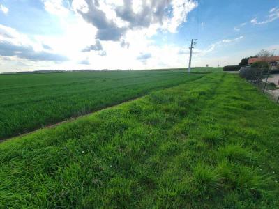 Acheter Terrain Neuville-de-poitou Vienne