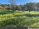 For sale Land Mages CENTRE VILLAGE 990 m2