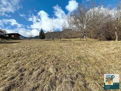 For sale Onnion Haute savoie (74490) photo 2