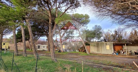 For sale Palme 1310 m2 Aude (11480) photo 1