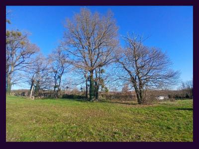 Acheter Maison Chasseneuil-sur-bonnieure Charente