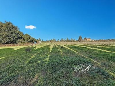 Acheter Maison Theza Pyrenees orientales