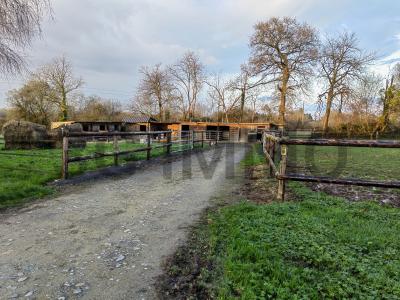 For sale Saint-gatien-des-bois 8 rooms 211 m2 Calvados (14130) photo 4