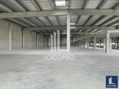 Louer Commerce 3432 m2 Ciotat