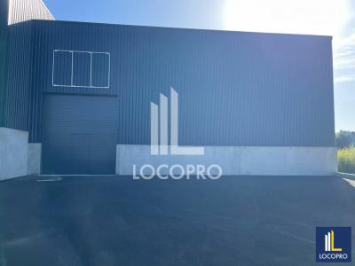 Louer Commerce 260 m2 Signes