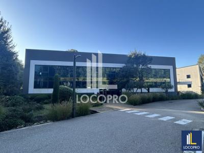 For rent Sophia-antipolis 1212 m2 Alpes Maritimes (06560) photo 0