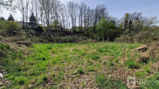 Acheter Terrain Epinal 213000 euros