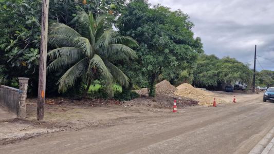 Acheter Terrain Petit-canal Guadeloupe