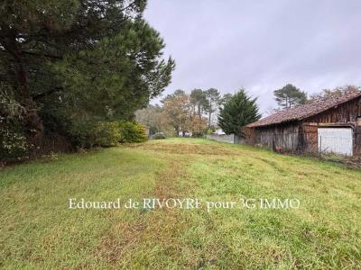 For sale Mont-de-marsan Landes (40000) photo 0