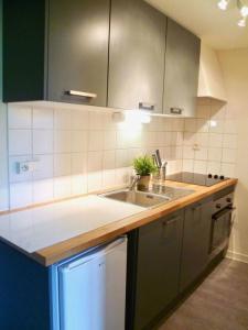 Louer Appartement Lille 735 euros