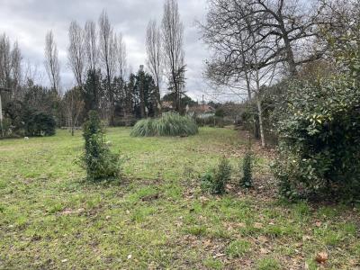 Annonce Vente Terrain Taillan-medoc 33