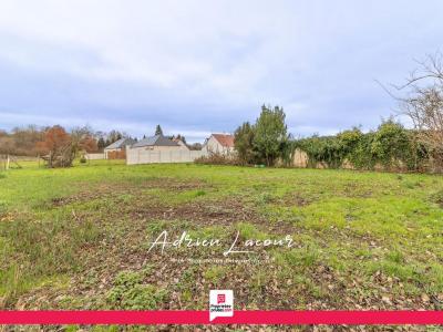 Annonce Vente Terrain Gy-en-sologne 41